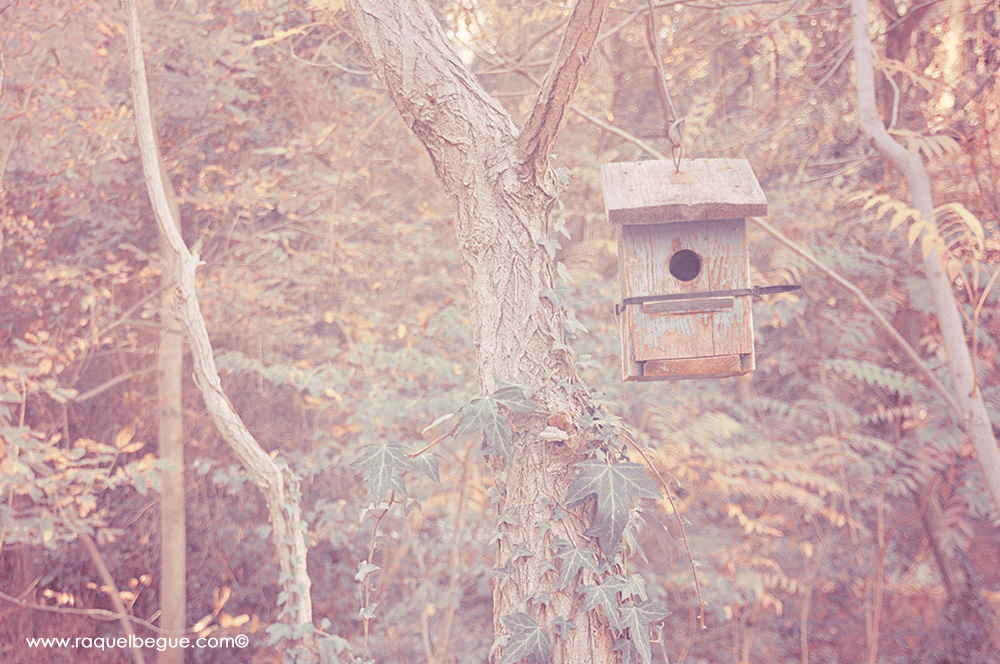 naturaleza-parque