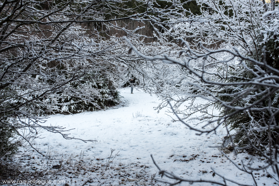 Nieve Aigüestortes