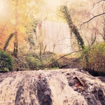 Monasterio de Piedra