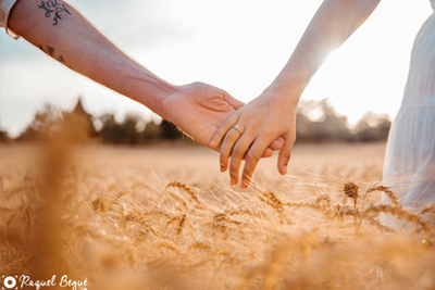 Book familiar preboda