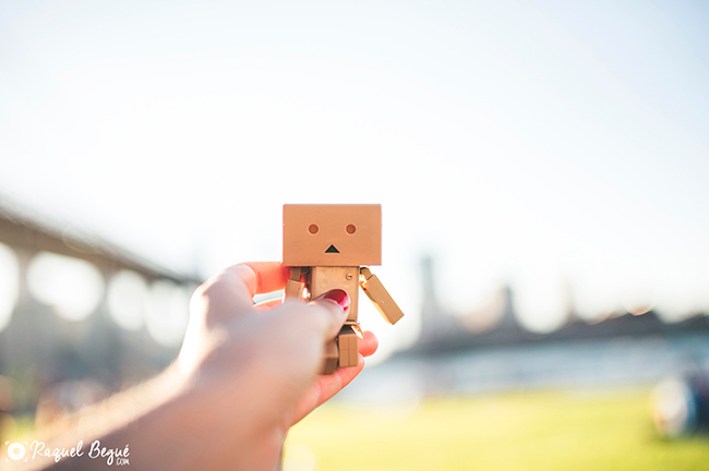 Danbo New York