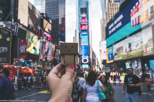 Danbo New York