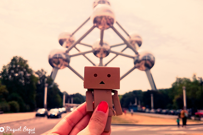 Danbo Bruselas