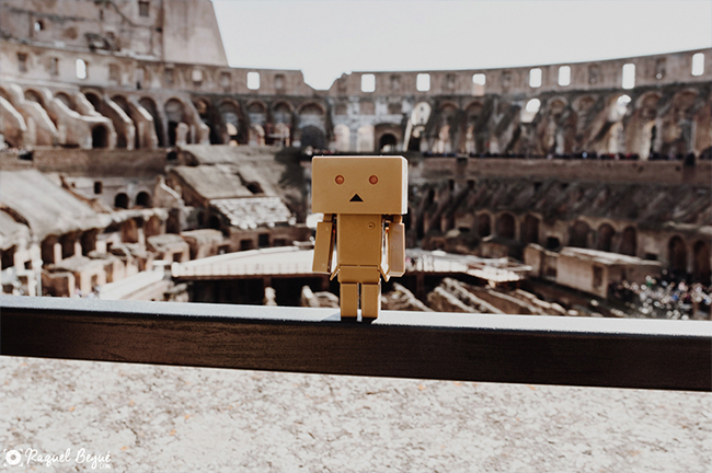 Danbo Roma