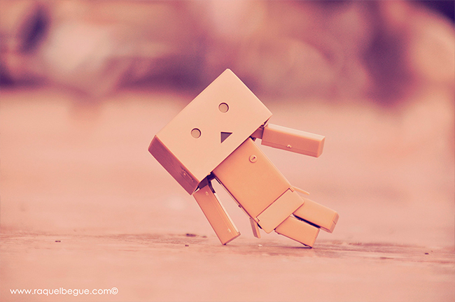 Danbo