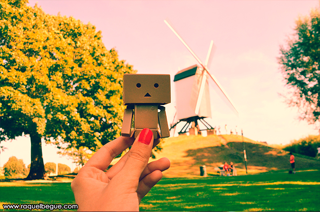 Danbo