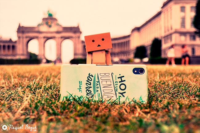 Danbo Bruselas