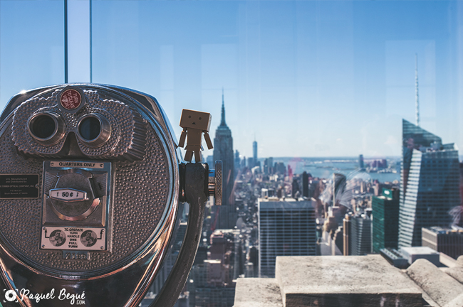 Danbo New York