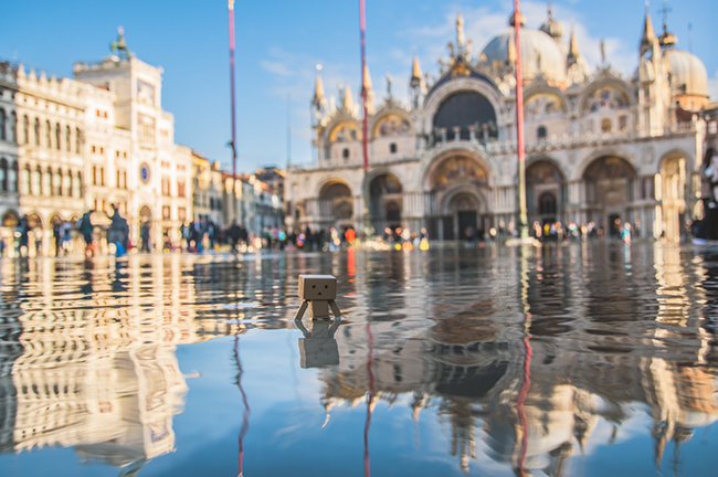 Danbo Venecia