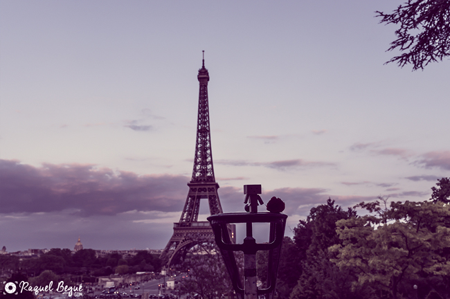 Danbo Paris