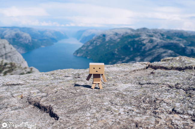 Danbo Noruega