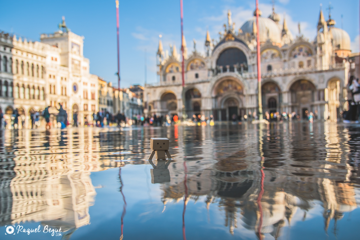 Venecia